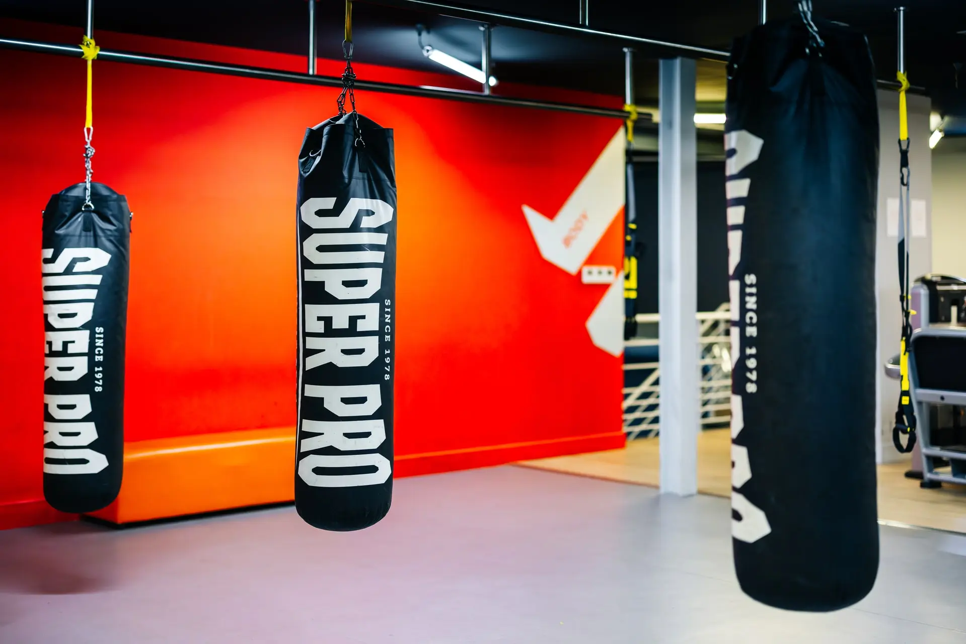 Element Leca da Palmeira 1